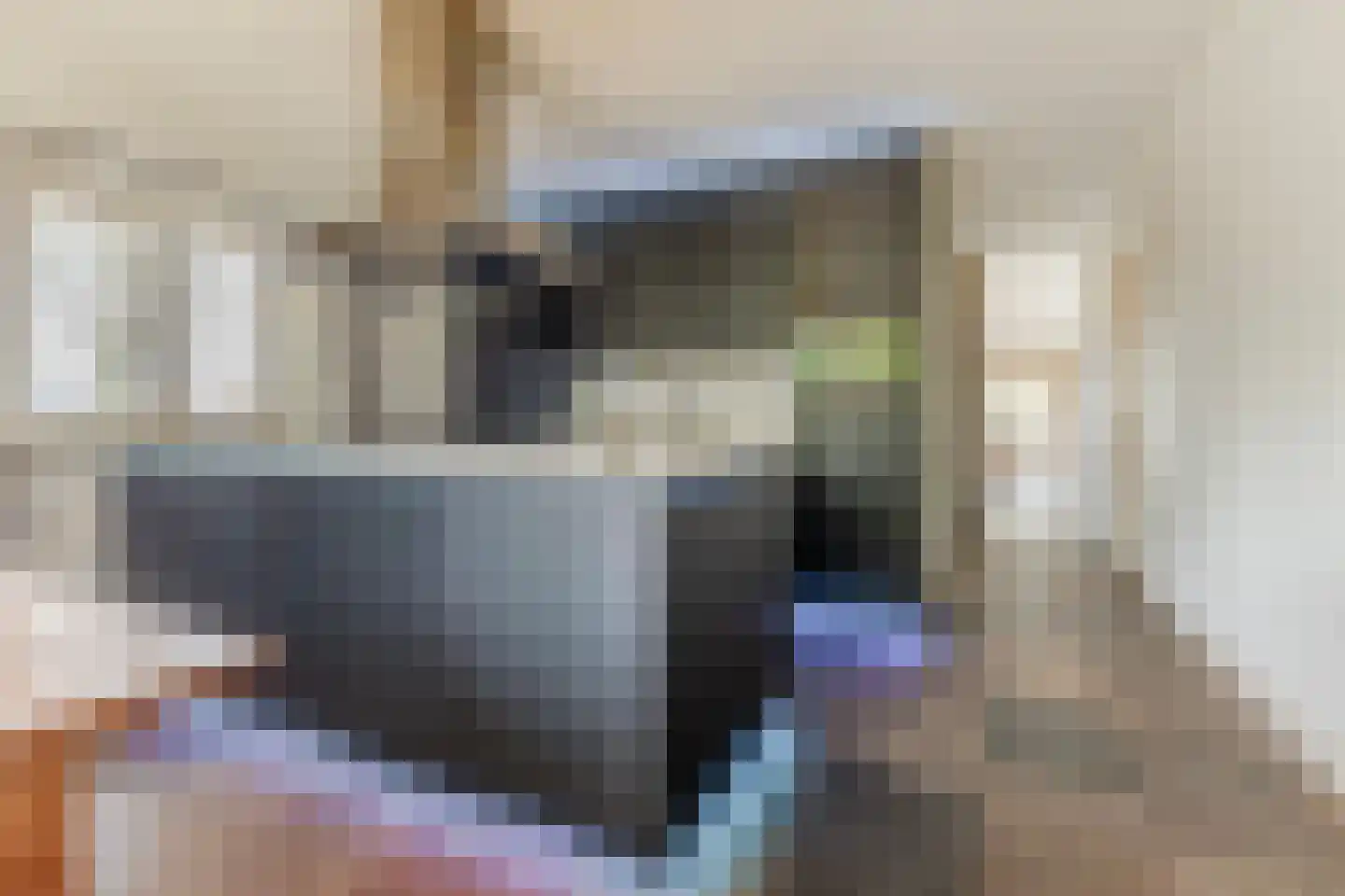 Raadbroekweg 7 Soerendonk thumbnail 11