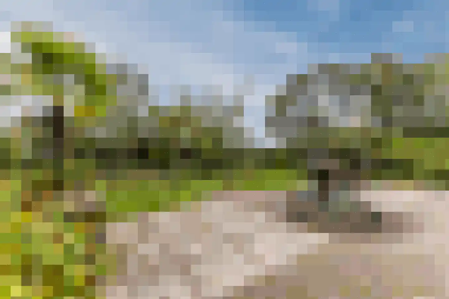 Raadbroekweg 7 Soerendonk thumbnail 15