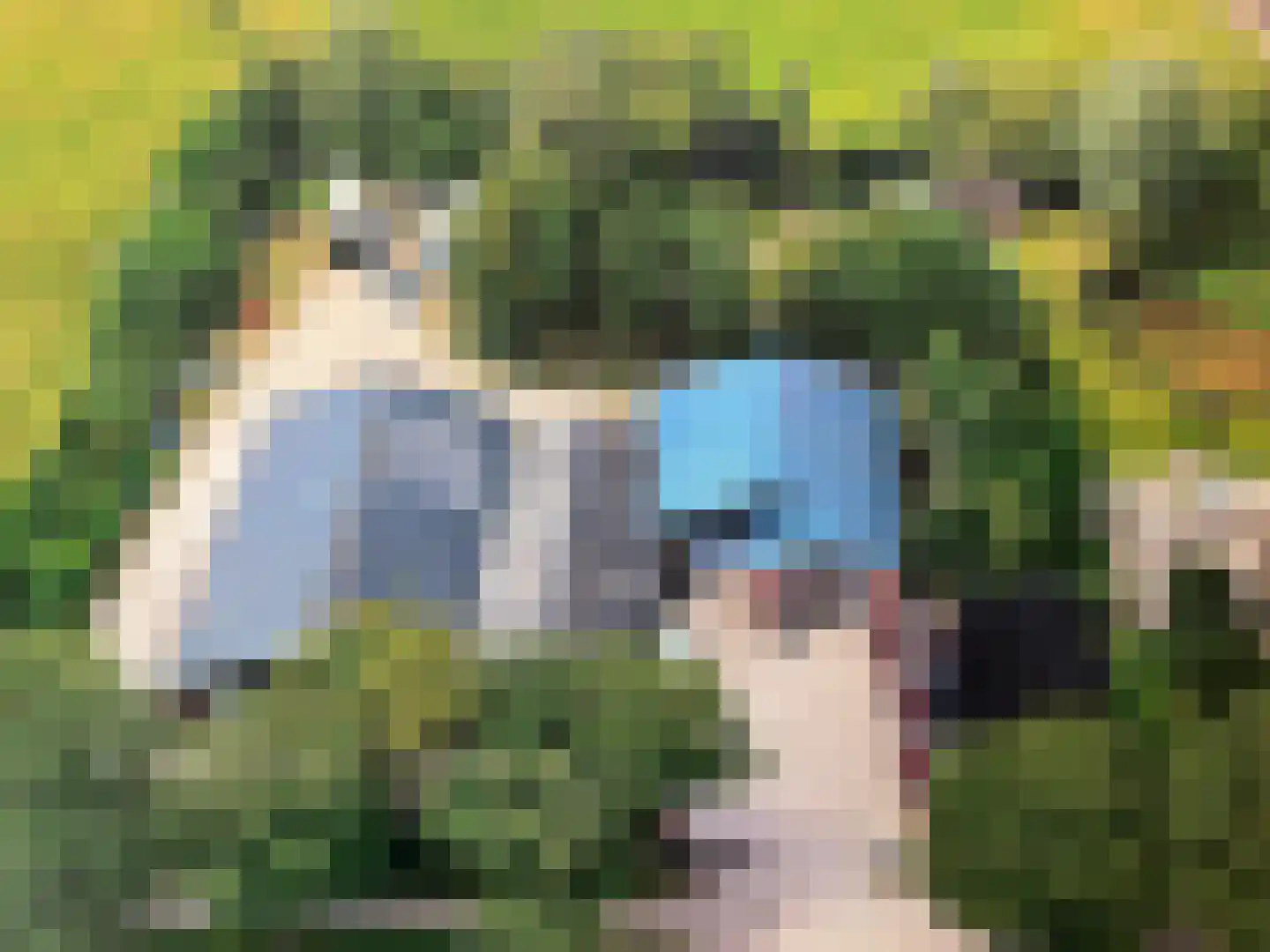 Raadbroekweg 7 Soerendonk thumbnail 17
