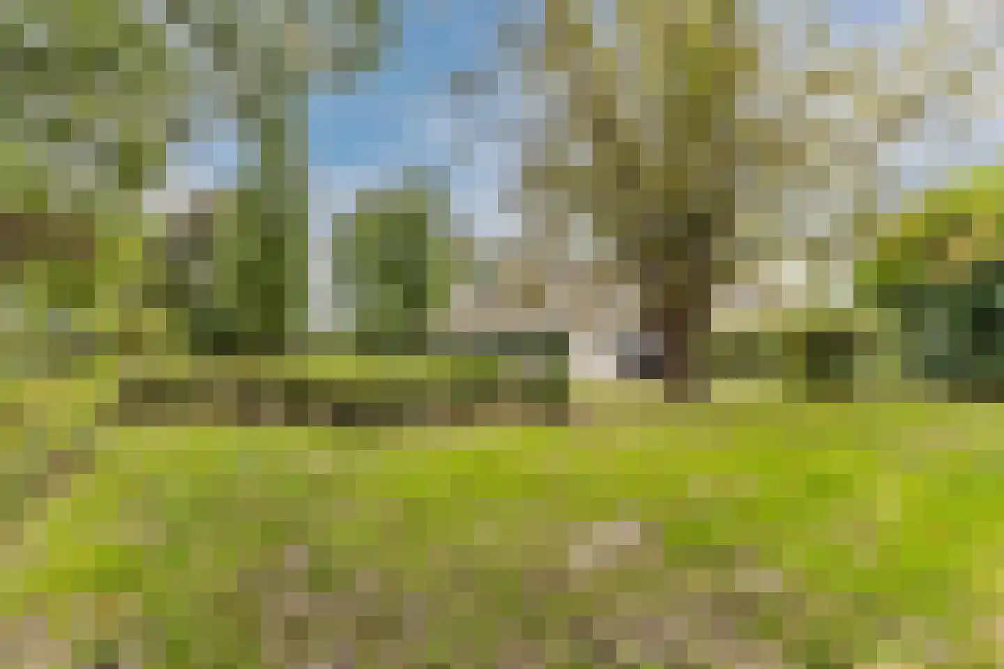 Raadbroekweg 7 Soerendonk thumbnail 22
