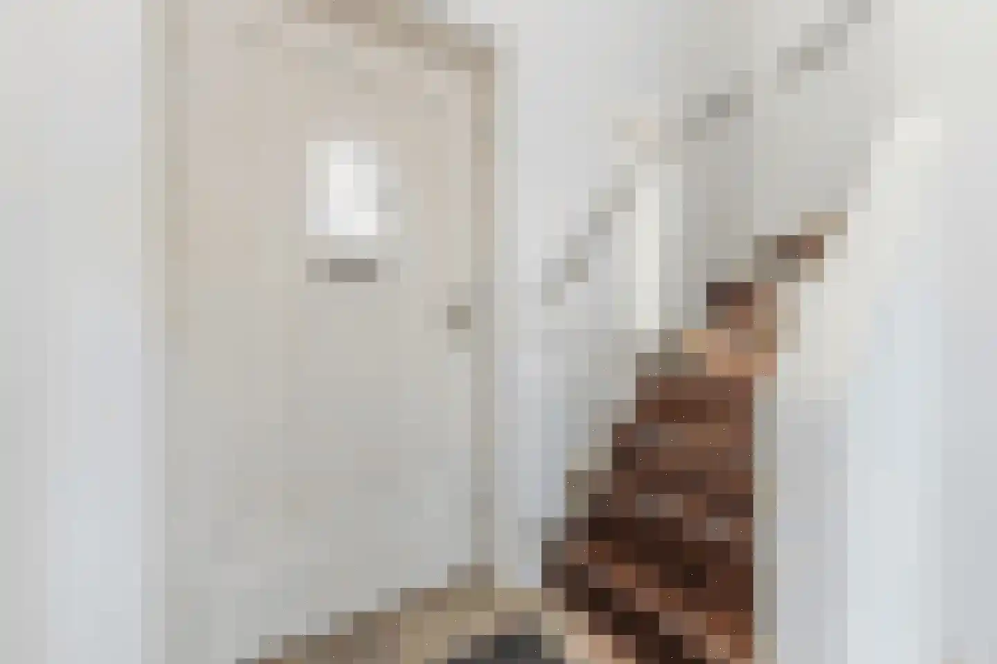 Raadbroekweg 7 Soerendonk thumbnail 4