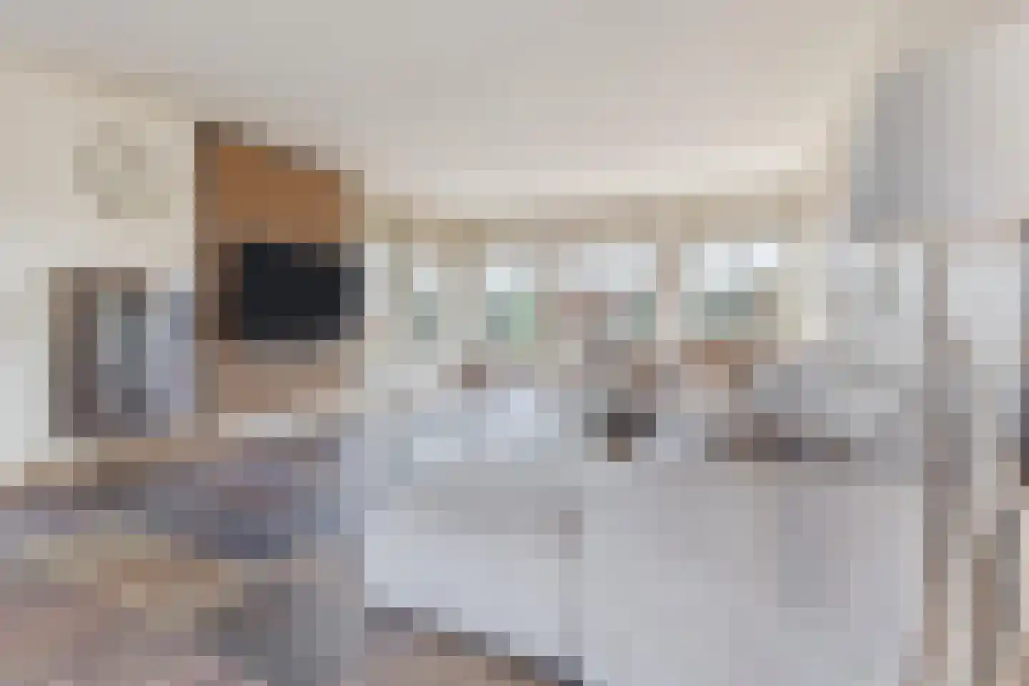Raadbroekweg 7 Soerendonk thumbnail 6