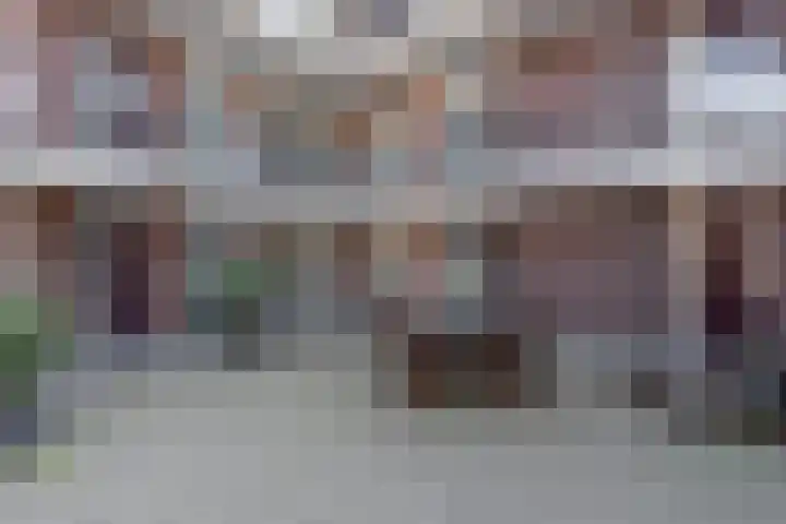 Raadhuis 105 Hedel thumbnail 10