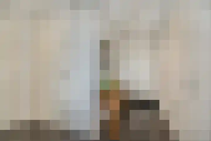 Raadhuis 105 Hedel thumbnail 11