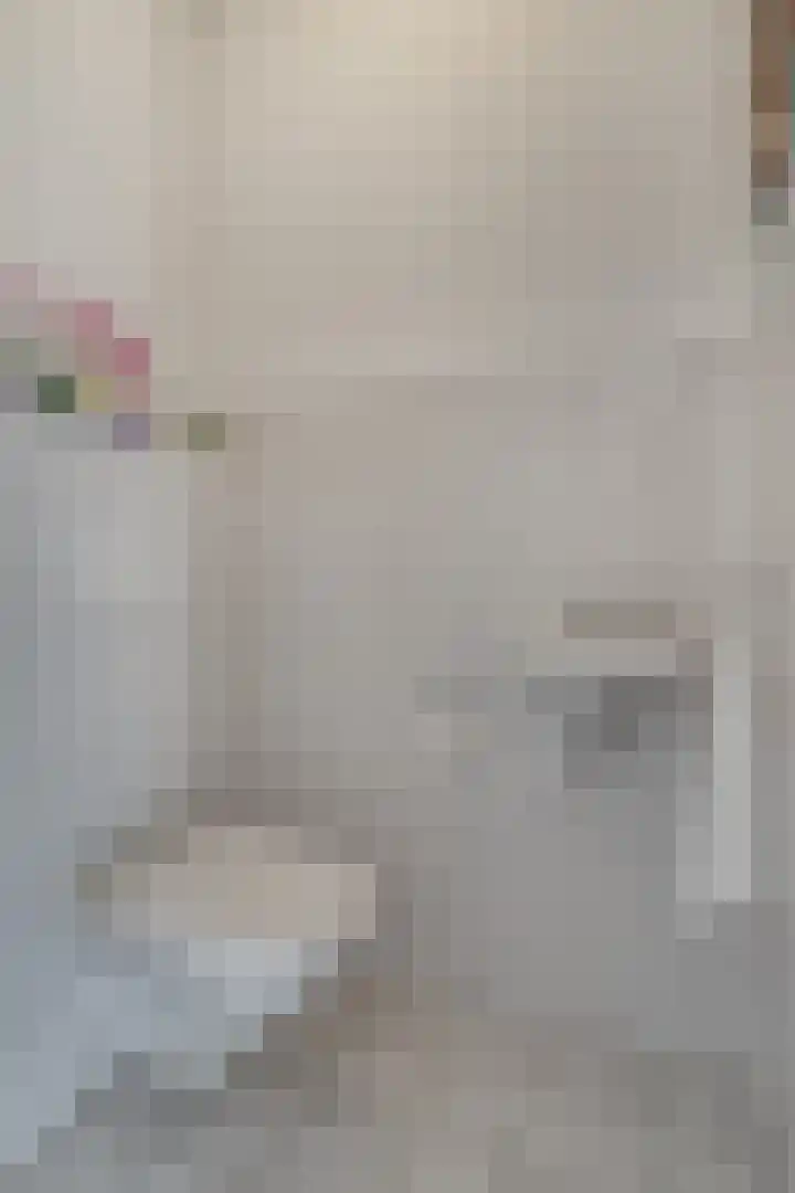 Raadhuis 105 Hedel thumbnail 12