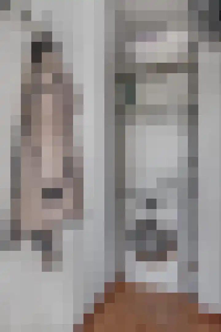 Raadhuis 105 Hedel thumbnail 13