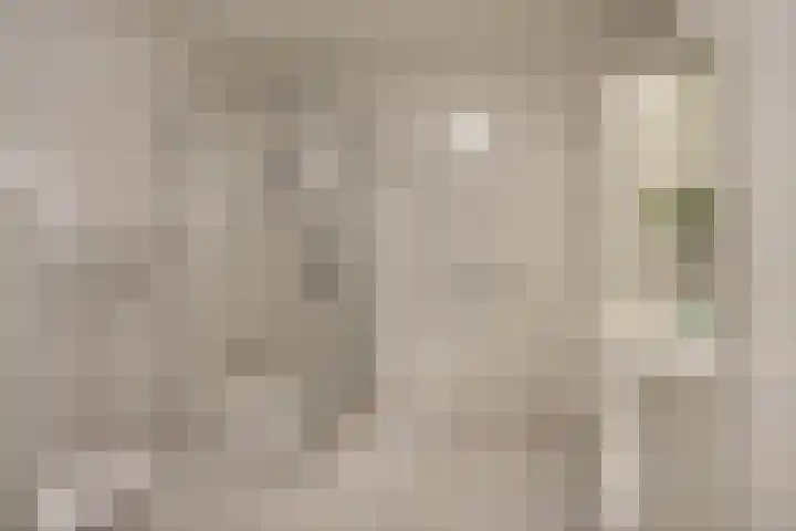 Raadhuis 105 Hedel thumbnail 16
