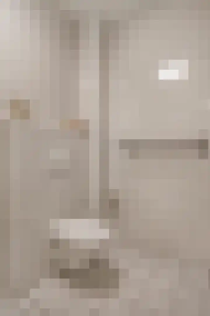 Raadhuis 105 Hedel thumbnail 17