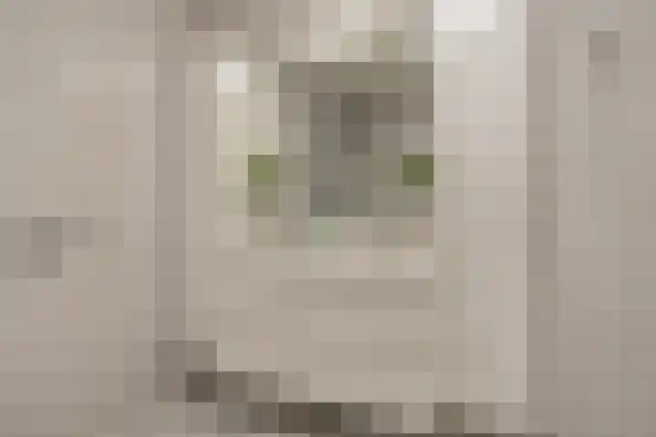 Raadhuis 105 Hedel thumbnail 18
