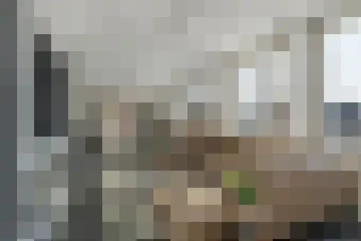 Raadhuis 105 Hedel thumbnail 19