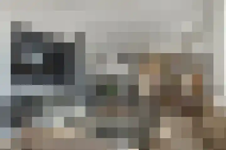 Raadhuis 105 Hedel thumbnail 20