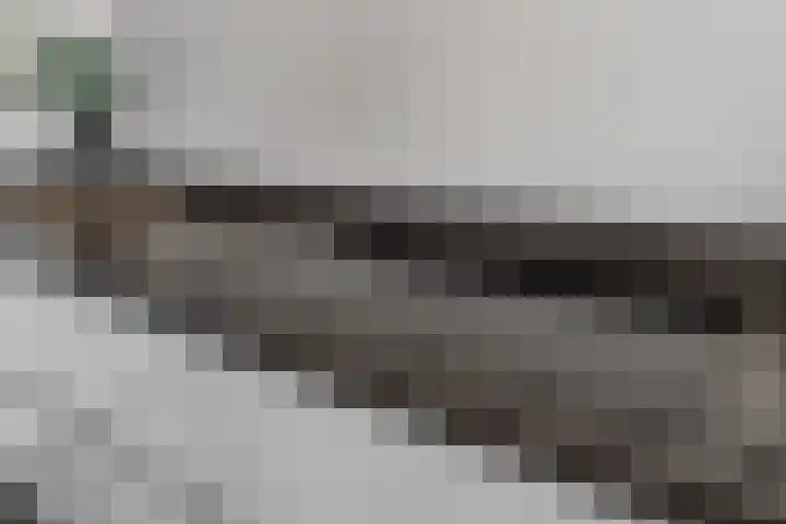 Raadhuis 105 Hedel thumbnail 24