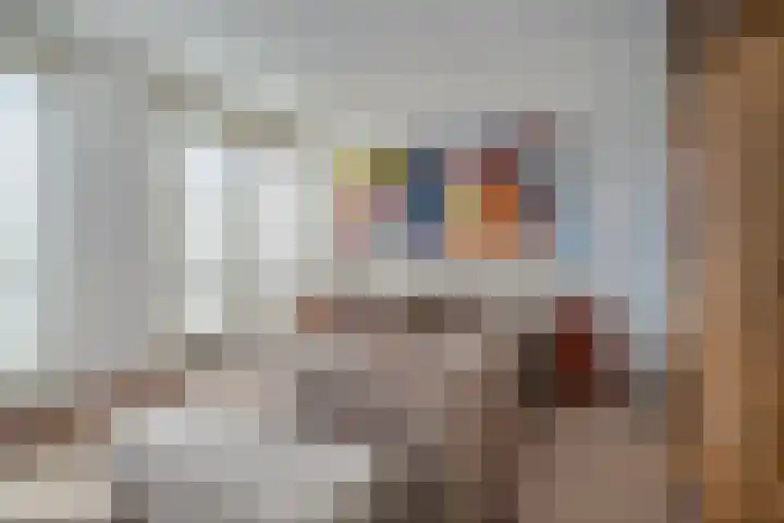 Raadhuis 105 Hedel thumbnail 4