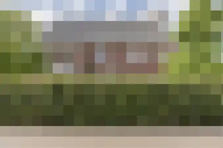 Raadhuisdijk 15 Maasbommel thumbnail 7