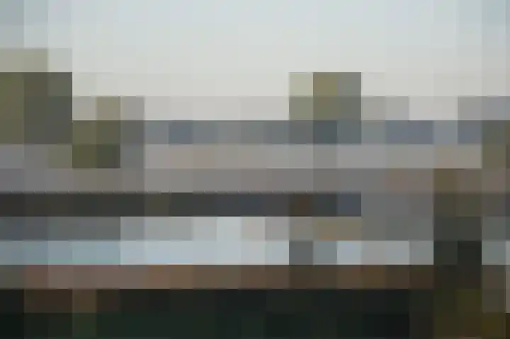 Raadhuisdijk 15 Maasbommel thumbnail 88