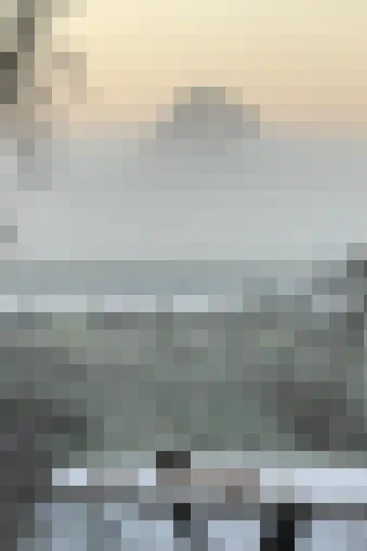 Raadhuisdijk 15 Maasbommel thumbnail 92