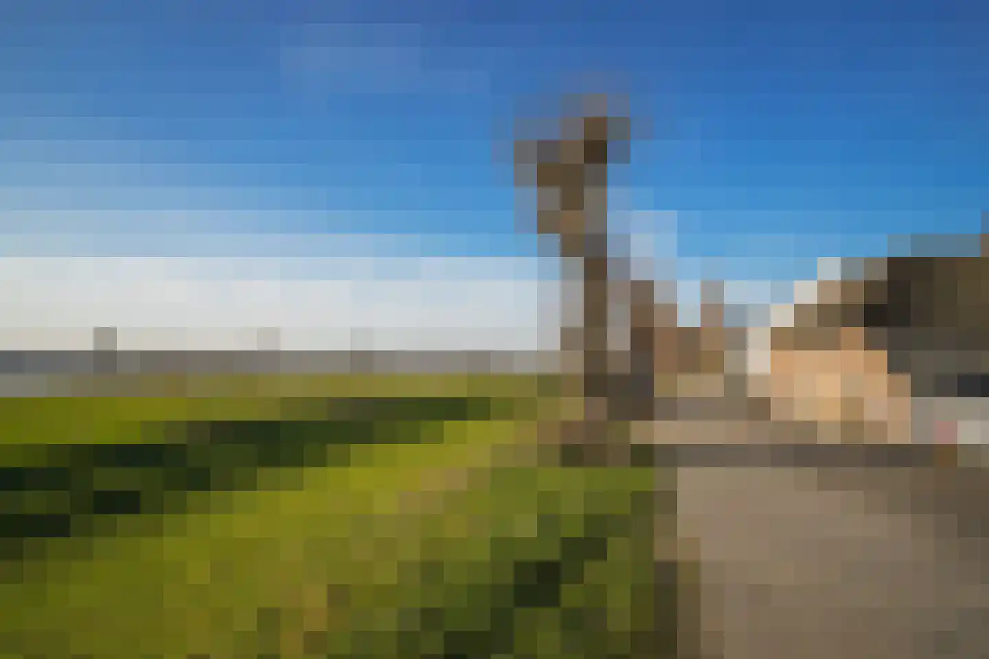 Raadhuisdijk 18 Maasbommel thumbnail 55