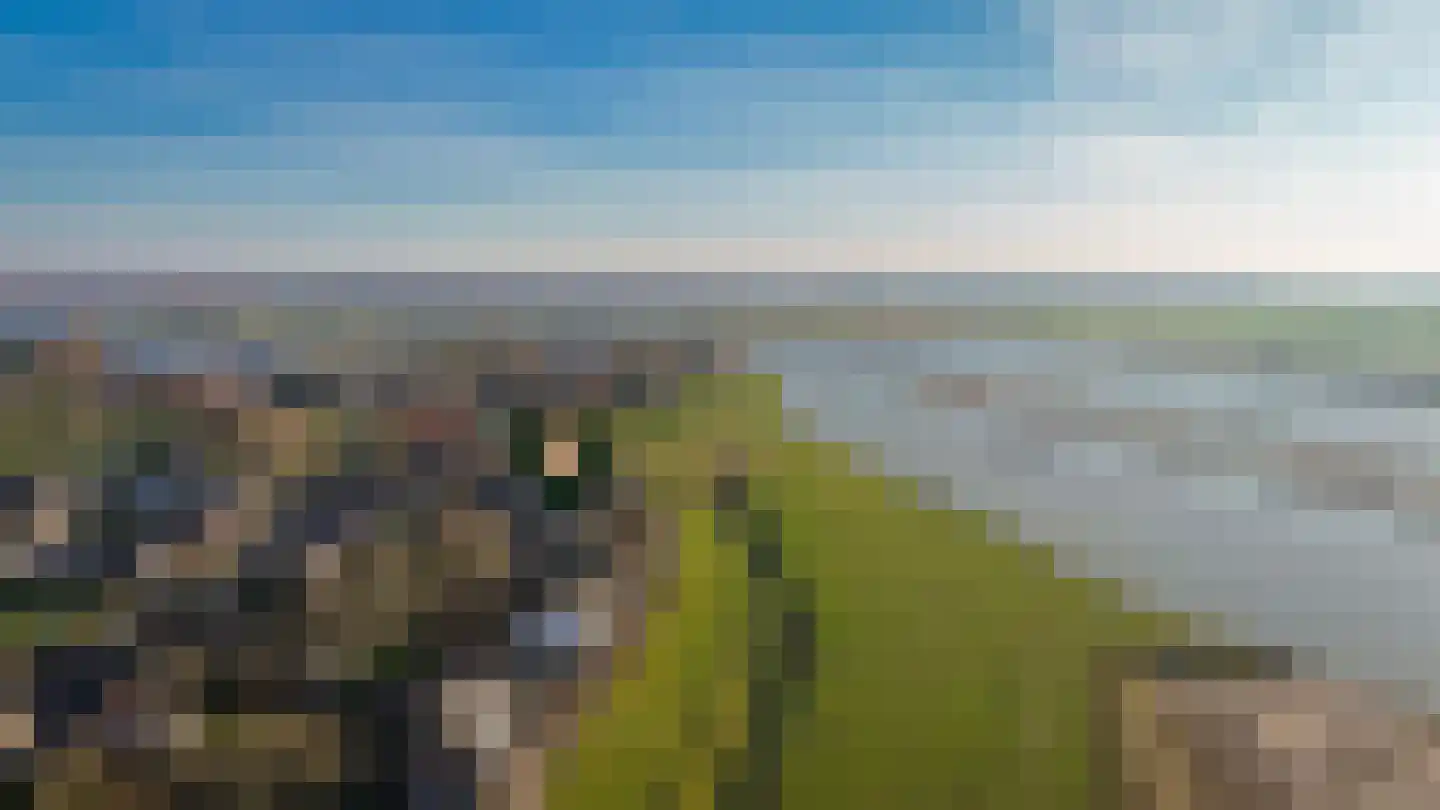 Raadhuisdijk 18 Maasbommel thumbnail 60