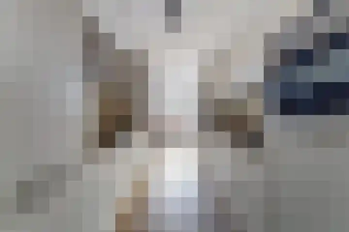 Raadhuishof 14 Nijmegen thumbnail 15