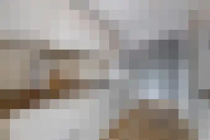 Raadhuishof 14 Nijmegen thumbnail 17