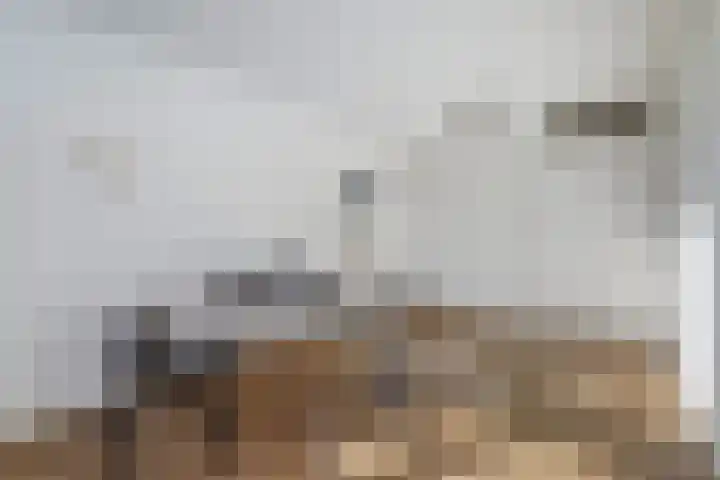 Raadhuishof 14 Nijmegen thumbnail 21