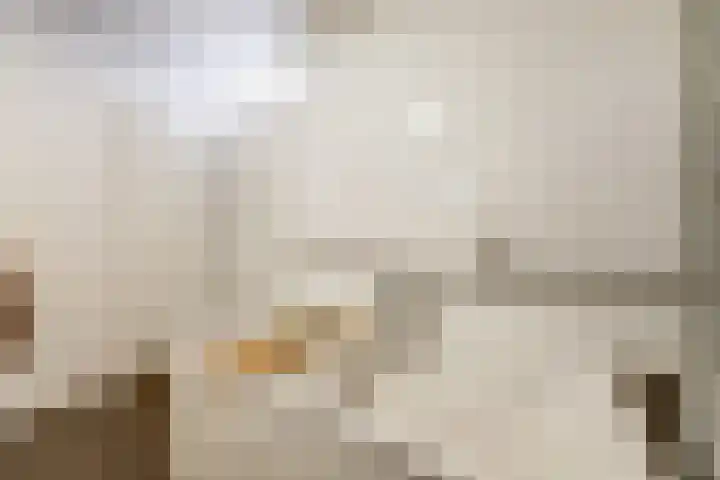 Raadhuishof 14 Nijmegen thumbnail 23