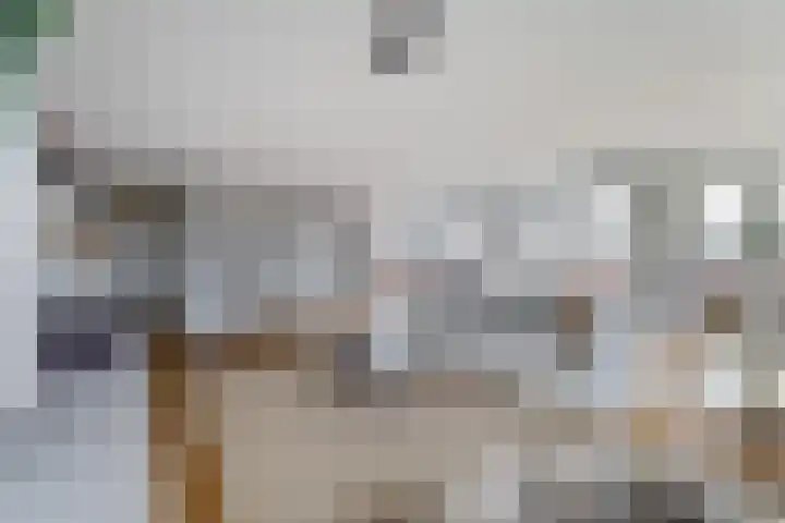 Raadhuishof 14 Nijmegen thumbnail 9