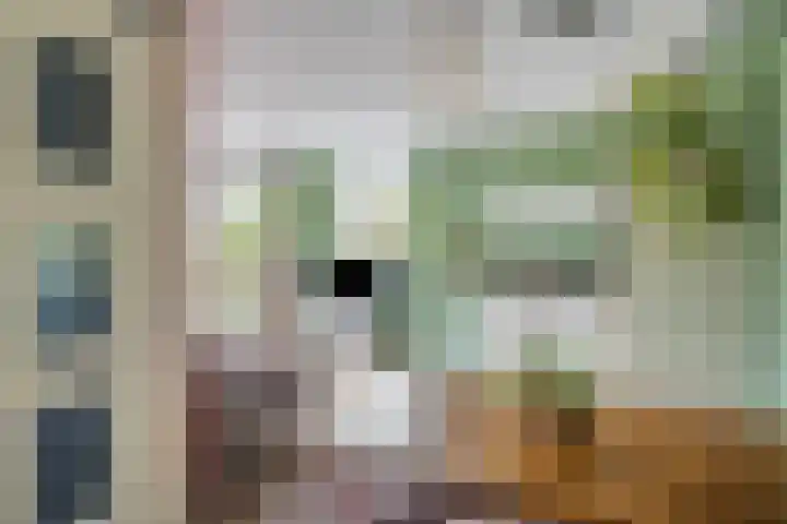 Raadhuishof 15 Kerkwijk thumbnail 12