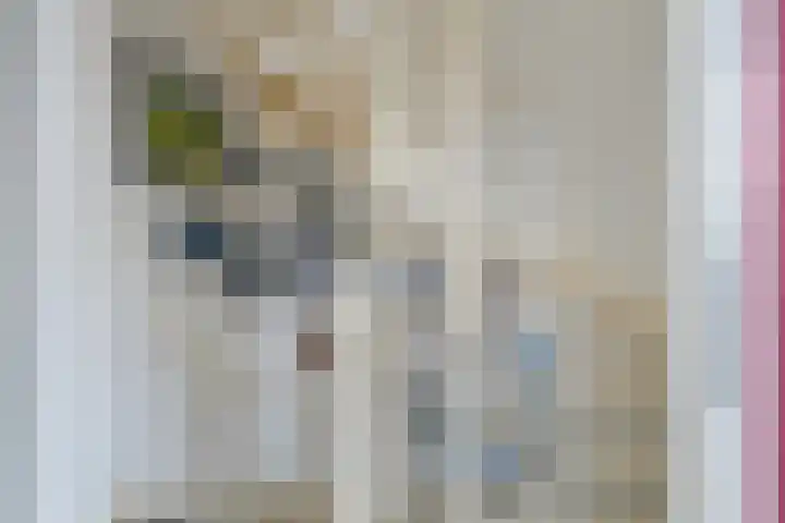 Raadhuishof 15 Kerkwijk thumbnail 14