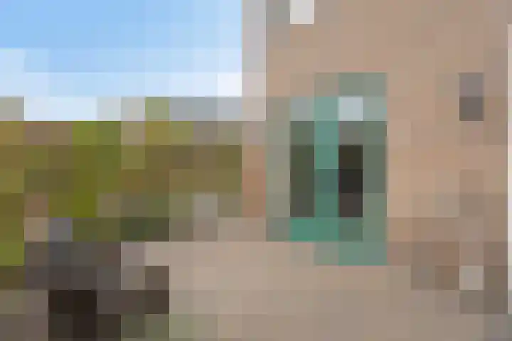 Raadhuishof 15 Kerkwijk thumbnail 26
