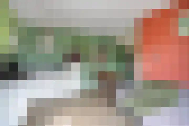 Raadhuishof 15 Kerkwijk thumbnail 9