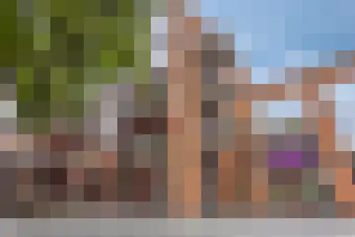 Raadhuishof 19 Nijmegen