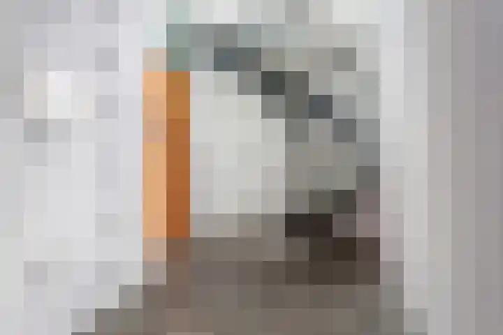Raadhuishof 19 Nijmegen thumbnail 10