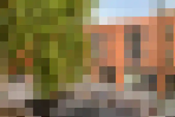 Raadhuishof 19 Nijmegen thumbnail 28