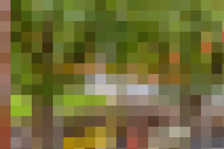 Raadhuishof 19 Nijmegen thumbnail 29