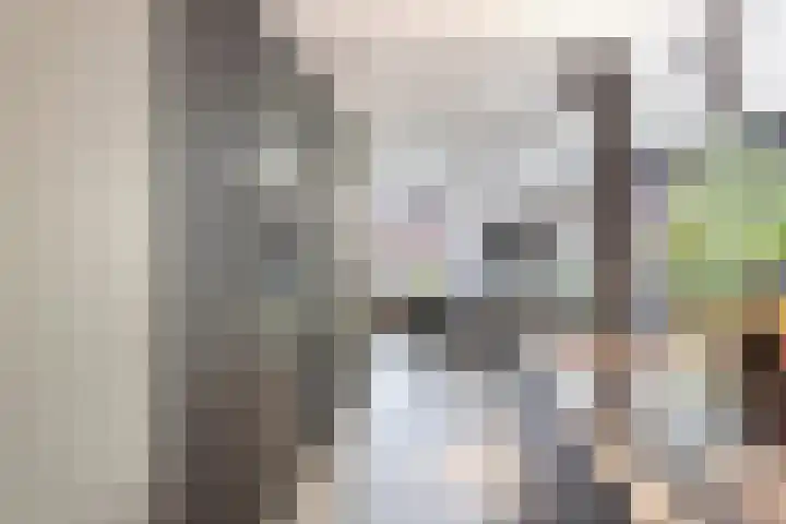 Raadhuishof 19 Nijmegen thumbnail 32