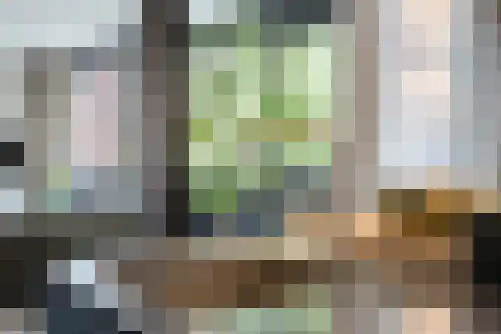 Raadhuishof 19 Nijmegen thumbnail 33
