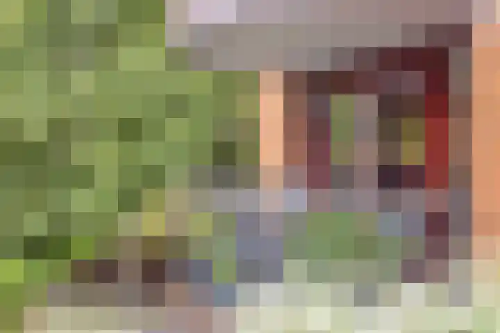Raadhuishof 19 Nijmegen thumbnail 48