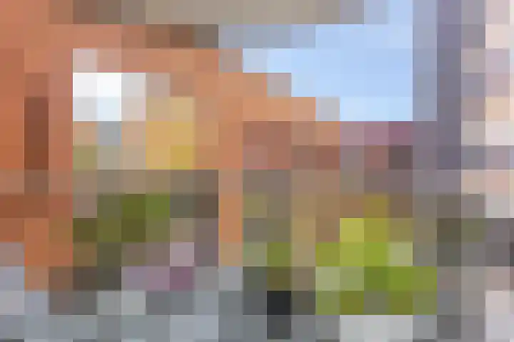 Raadhuishof 19 Nijmegen thumbnail 50
