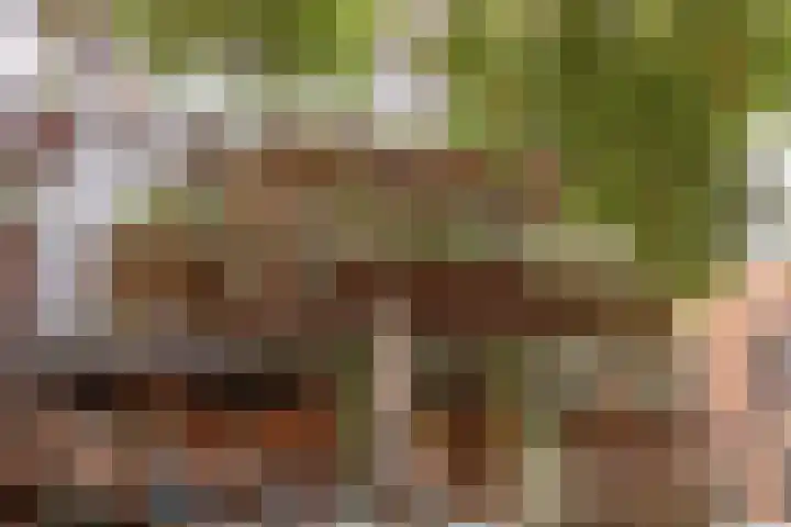Raadhuishof 19 Nijmegen thumbnail 51