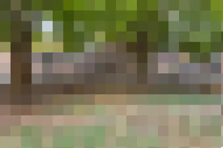 Raadhuishof 19 Nijmegen thumbnail 53