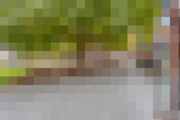 Raadhuishof 19 Nijmegen thumbnail 54
