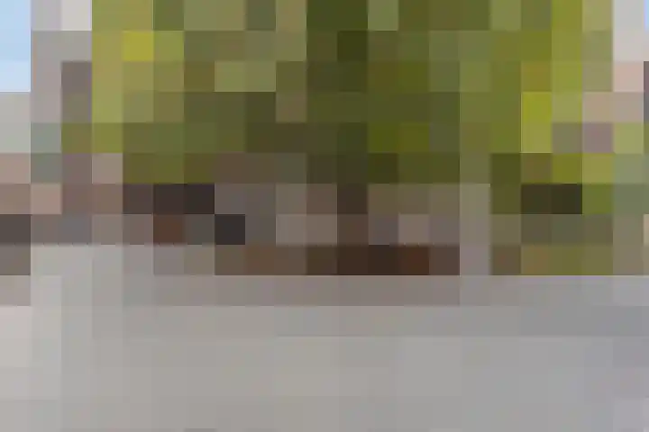 Raadhuishof 19 Nijmegen thumbnail 55