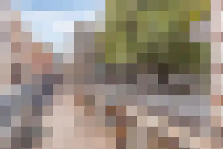 Raadhuishof 19 Nijmegen thumbnail 56
