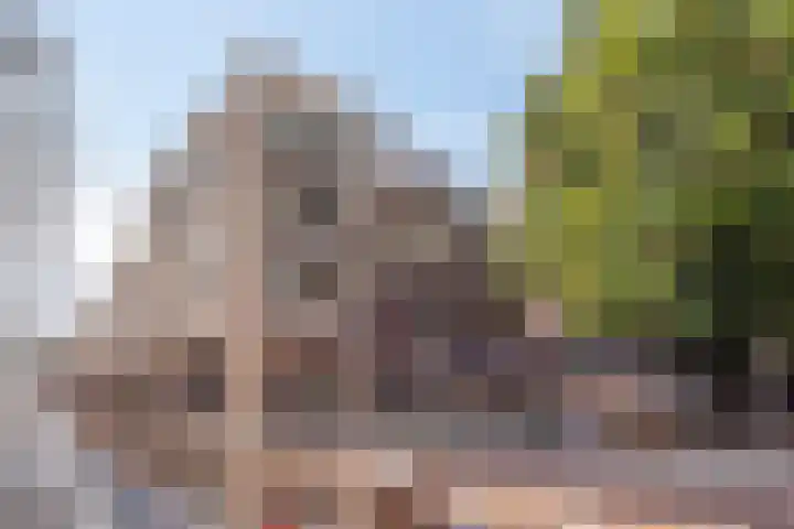 Raadhuishof 19 Nijmegen thumbnail 58