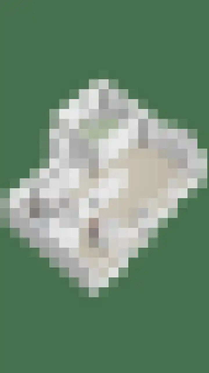 Raadhuishof 19 Nijmegen thumbnail 62