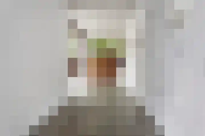 Raadhuishof 19 Nijmegen thumbnail 9