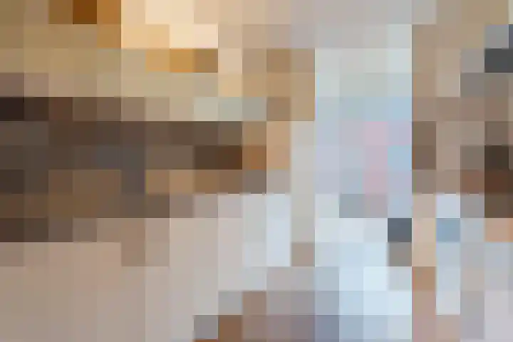 Raadhuishof 25 Nijmegen thumbnail 18