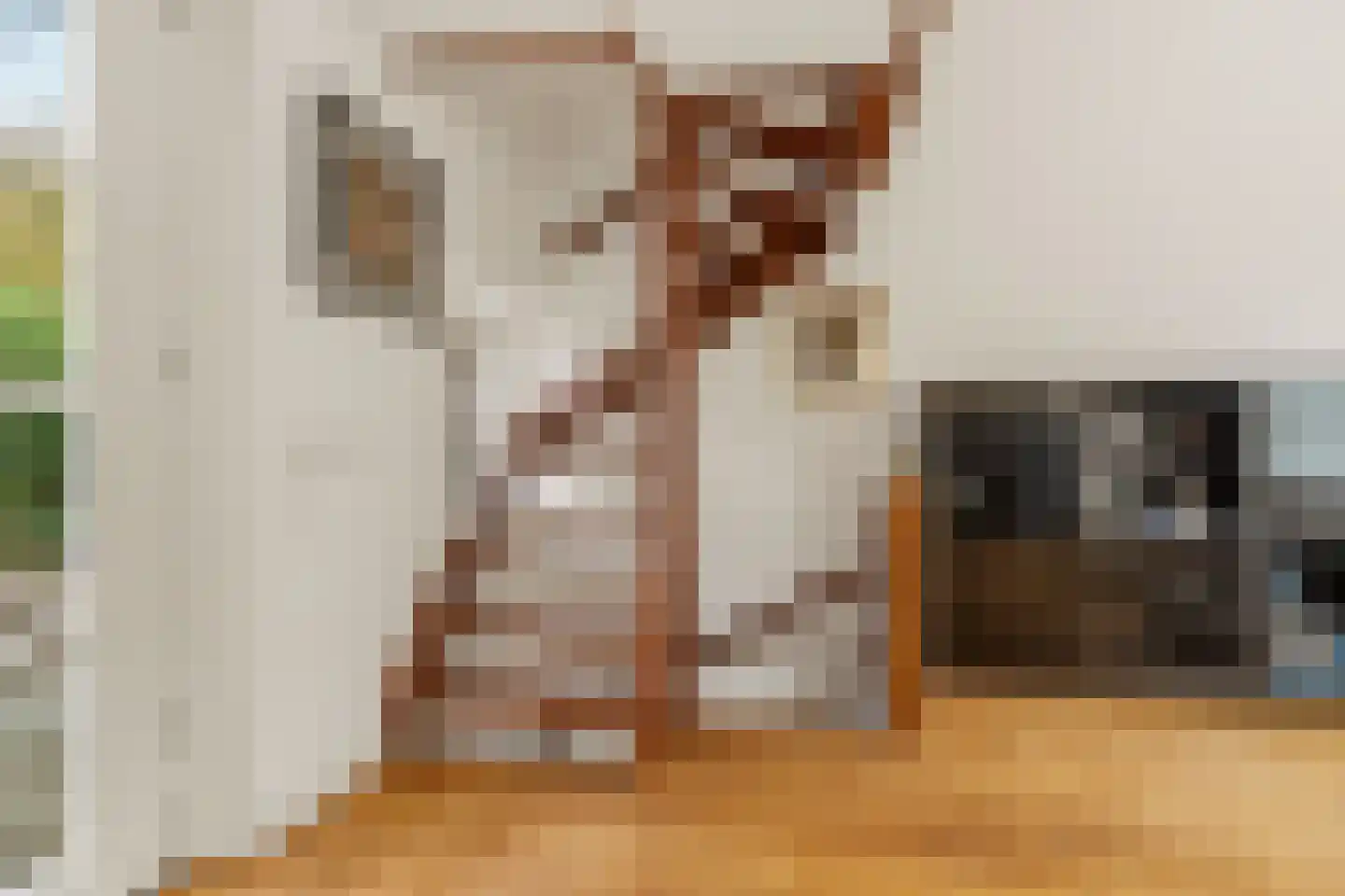 Raadhuislaan 1 A Wassenaar thumbnail 18