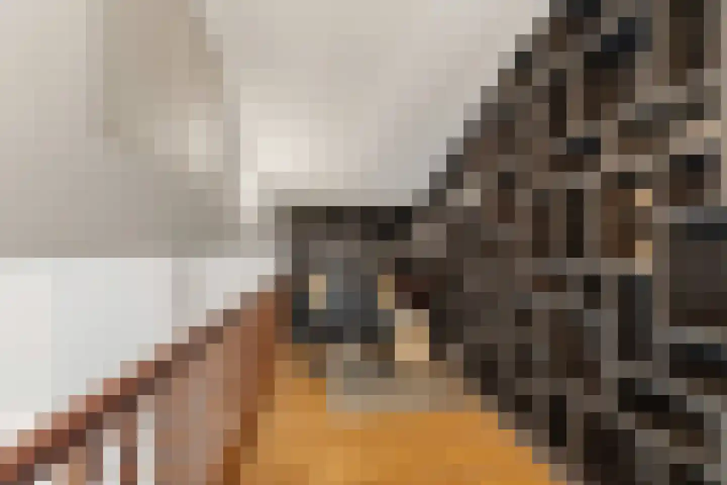 Raadhuislaan 1 A Wassenaar thumbnail 19
